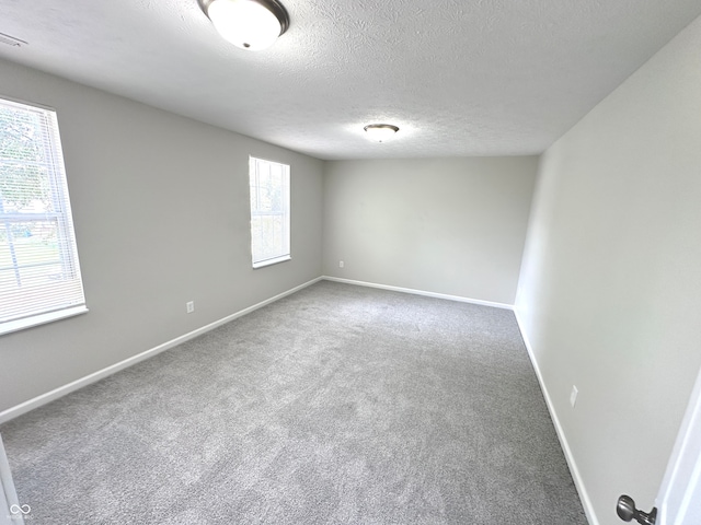 spare room featuring carpet, a textured ceiling, and a healthy amount of sunlight