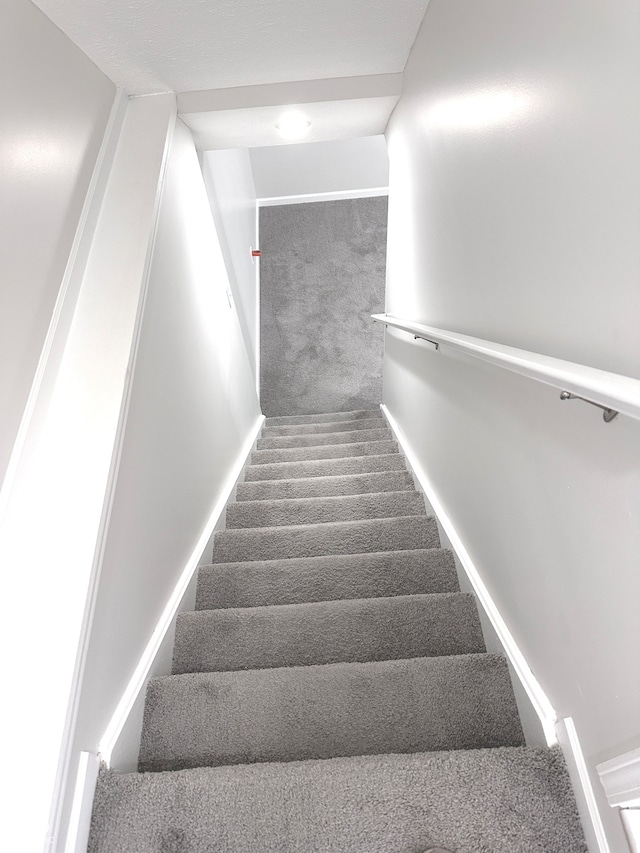 staircase featuring carpet floors