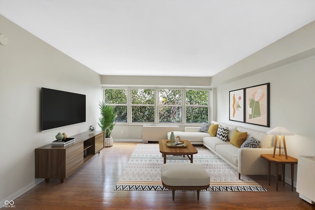 living room with wood-type flooring