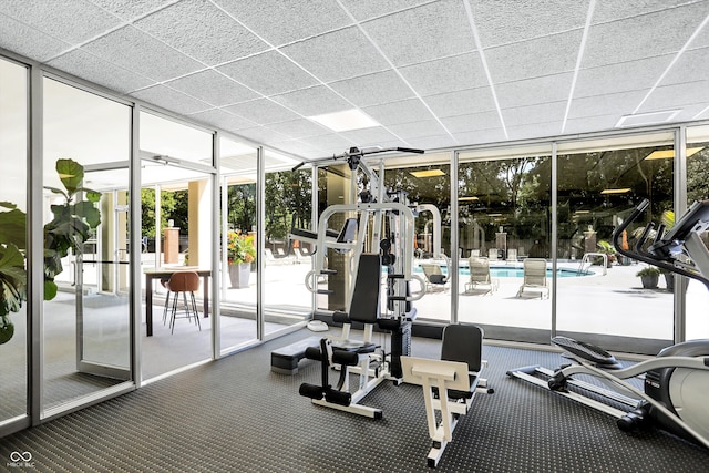 workout area with a wall of windows, carpet, and a drop ceiling