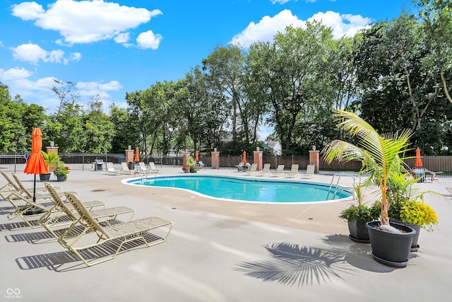 view of swimming pool with a patio