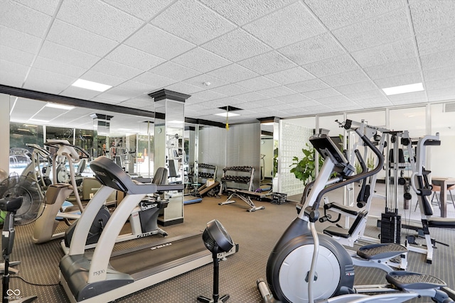 workout area featuring expansive windows, a paneled ceiling, and carpet flooring