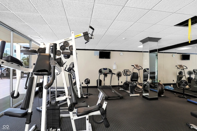 exercise room featuring a drop ceiling and carpet flooring