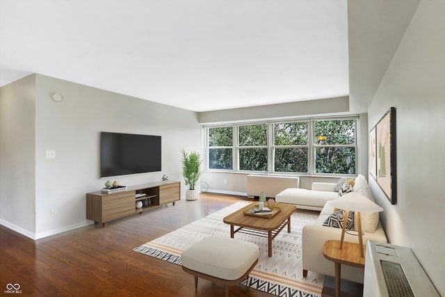 living room with hardwood / wood-style floors