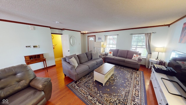 living room featuring hardwood / wood-style flooring, ornamental molding, and a textured ceiling