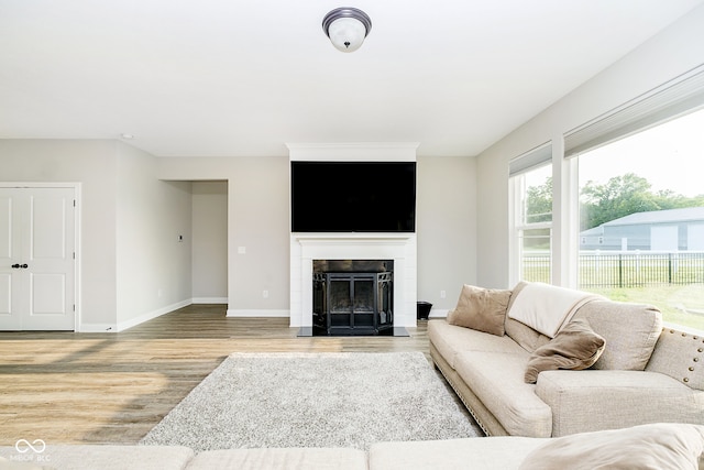 living room with light hardwood / wood-style flooring