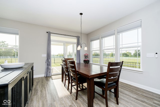 dining area featuring hardwood / wood-style floors