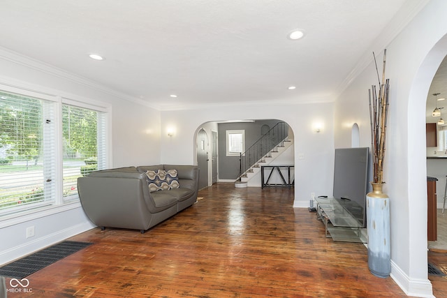 living room with crown molding and dark wood-type flooring