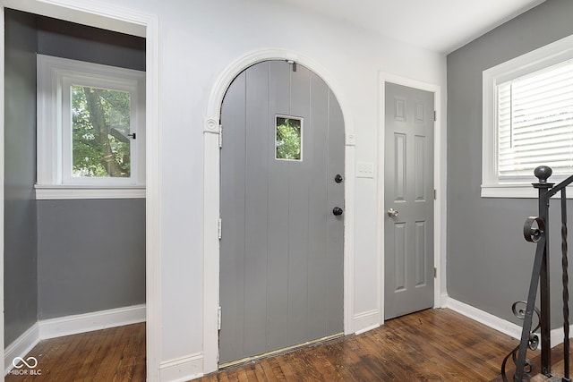 foyer entrance featuring dark wood-type flooring