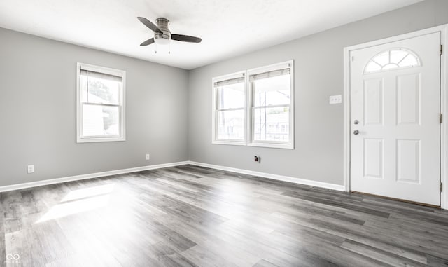 foyer featuring a wealth of natural light, dark wood-type flooring, and ceiling fan