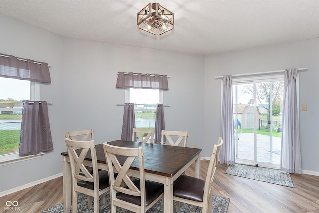 dining room with light wood-style floors, plenty of natural light, and baseboards