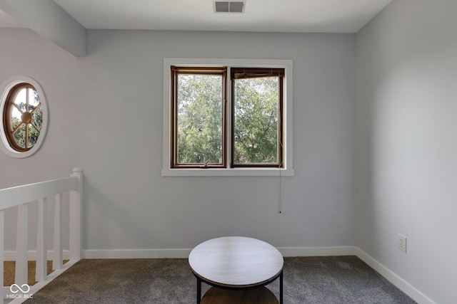 interior space featuring dark colored carpet