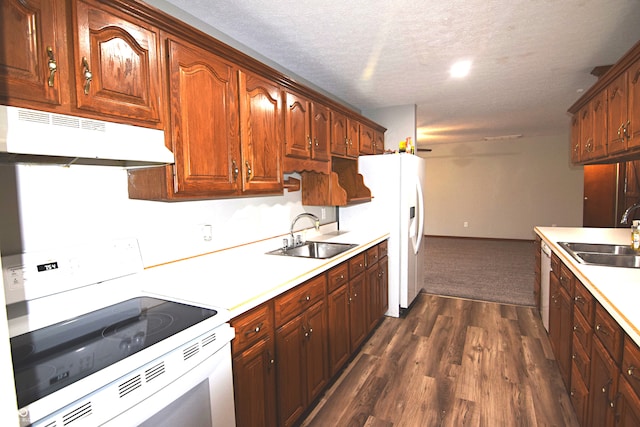 kitchen with a textured ceiling, sink, dark hardwood / wood-style floors, and white appliances