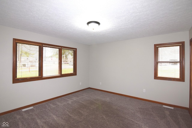 carpeted empty room featuring plenty of natural light and a textured ceiling