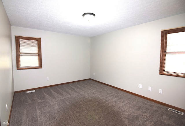 carpeted spare room featuring a textured ceiling and a wealth of natural light