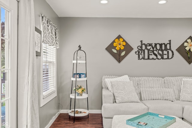 living room with hardwood / wood-style flooring