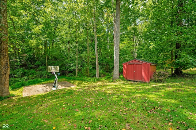 view of yard with a storage shed