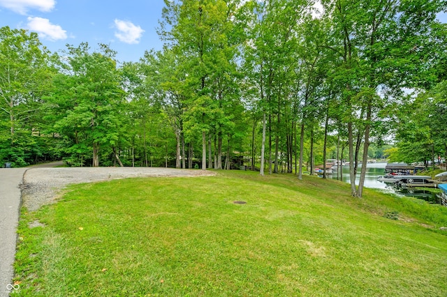 view of yard featuring a water view