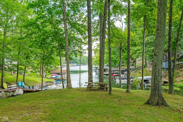 property view of water featuring a boat dock