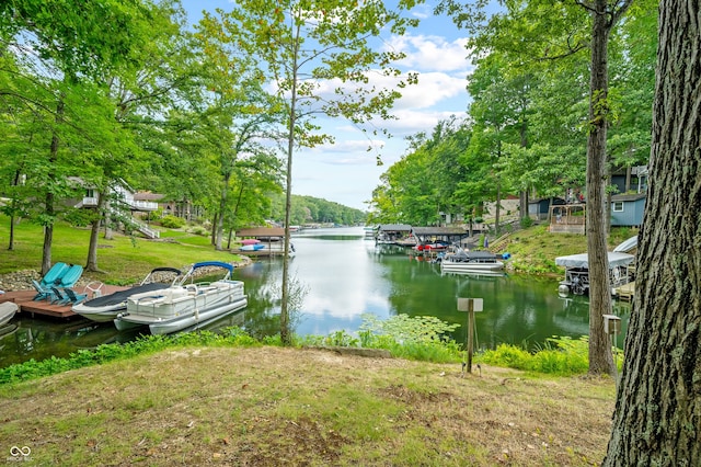 dock area featuring a water view