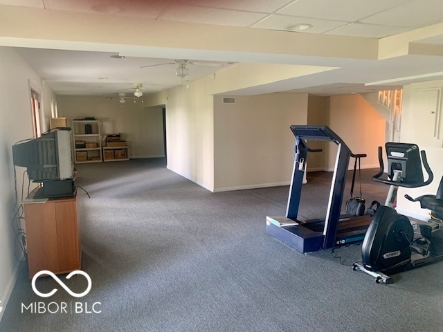 workout room with ceiling fan, a drop ceiling, and carpet floors