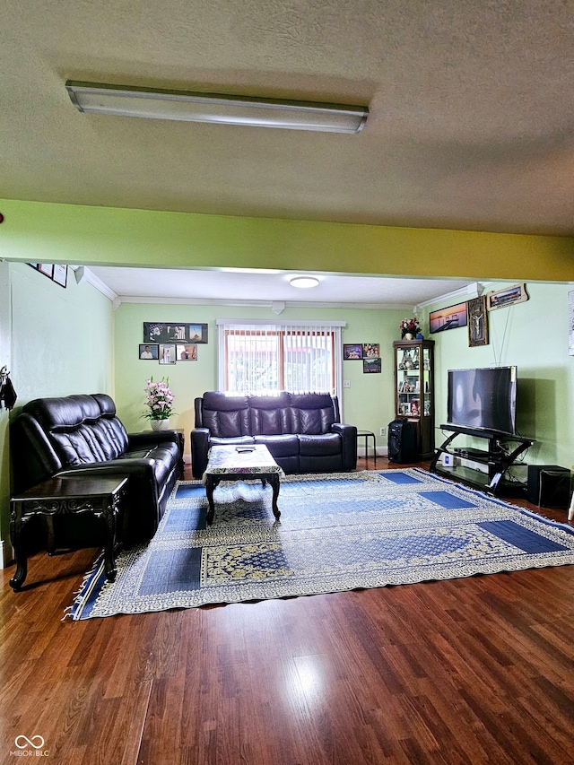 living room featuring a textured ceiling and wood-type flooring