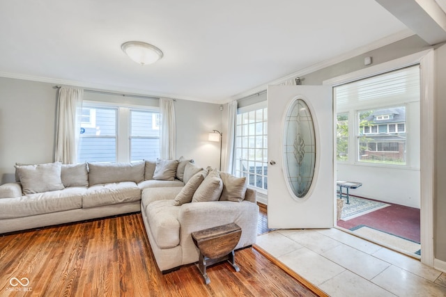 living room featuring crown molding and hardwood / wood-style floors