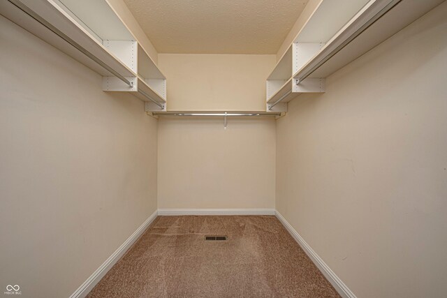 walk in closet with carpet flooring