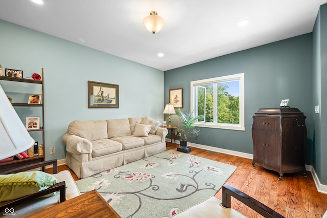 living room featuring light wood-type flooring