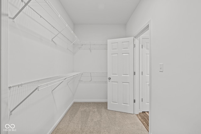 spacious closet featuring light colored carpet