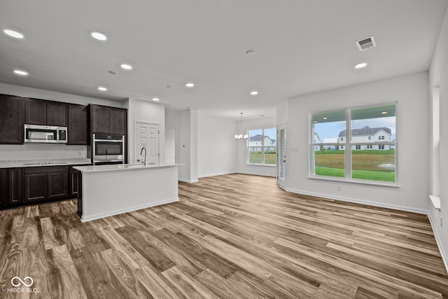 kitchen featuring dark brown cabinets, a kitchen island with sink, a chandelier, black stovetop, and hardwood / wood-style floors