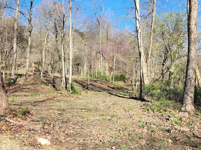 0 Goat Hollow Ests, Martinsville, IN 46151 - photo 1