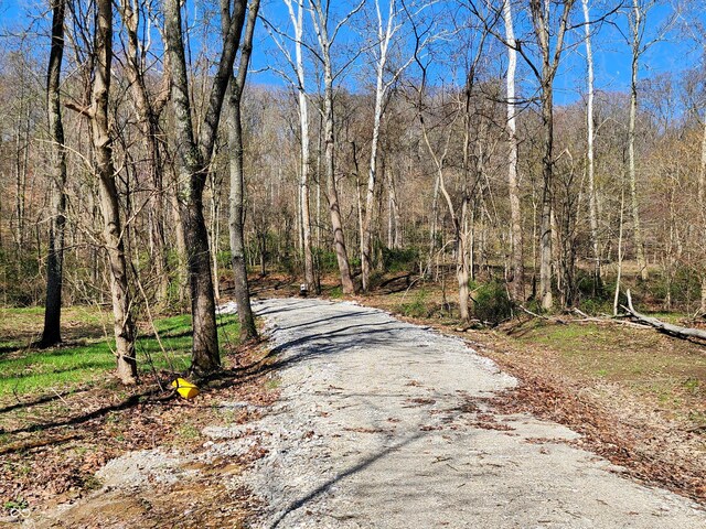 0 Goat Hollow Ests, Martinsville, IN 46151 - photo 6