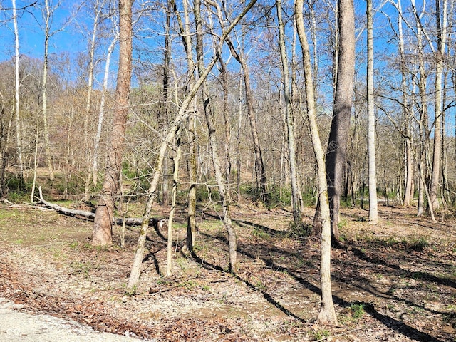 0 Goat Hollow Ests, Martinsville, IN 46151 - photo 8