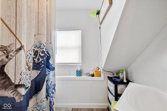 bathroom with hardwood / wood-style flooring