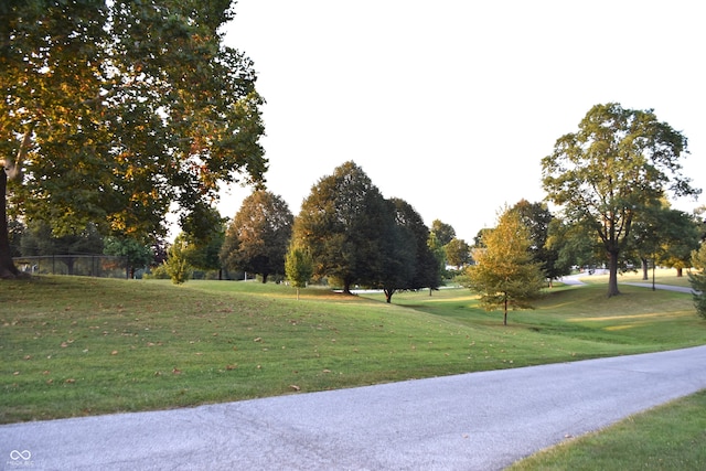 view of property's community with a yard