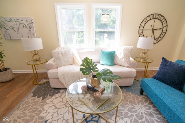 living room with hardwood / wood-style floors