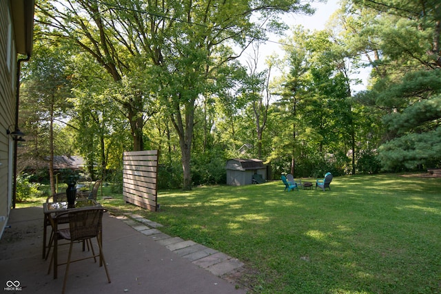 view of yard with a shed