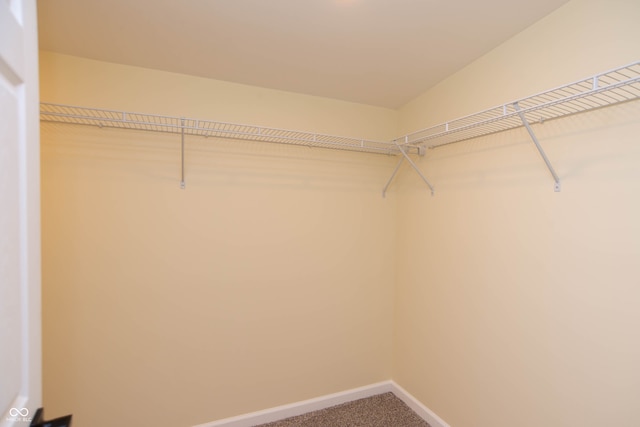 walk in closet with carpet