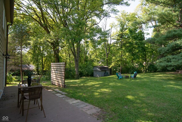 view of yard featuring a storage shed