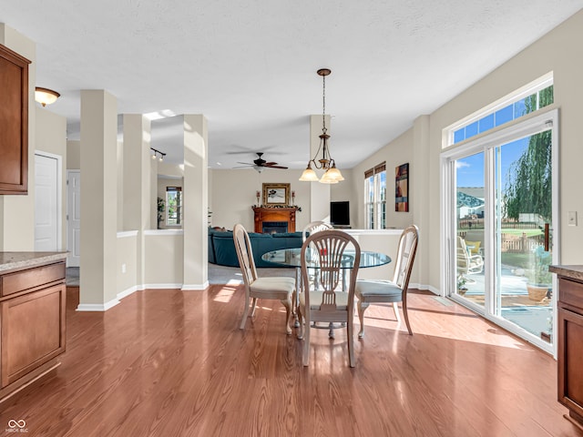 dining room featuring a textured ceiling, a wealth of natural light, hardwood / wood-style floors, and ceiling fan