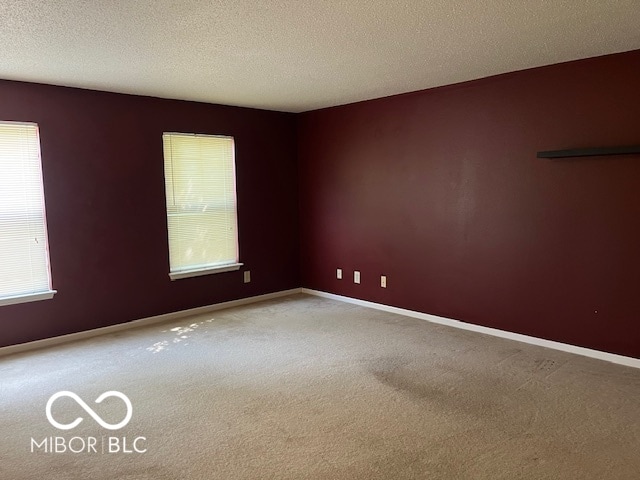 unfurnished room with carpet, a textured ceiling, and a healthy amount of sunlight