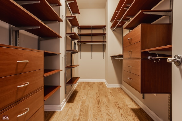 walk in closet with light wood-type flooring