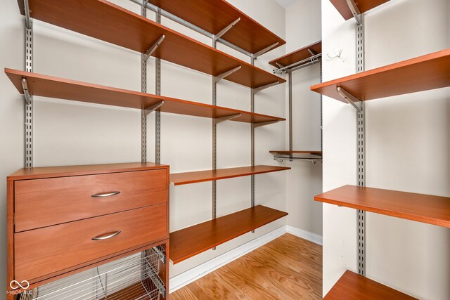 walk in closet featuring light wood-type flooring