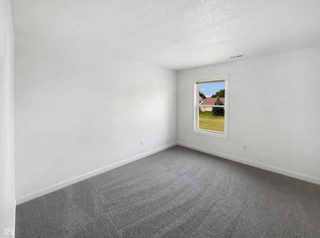 empty room featuring a textured ceiling and carpet flooring