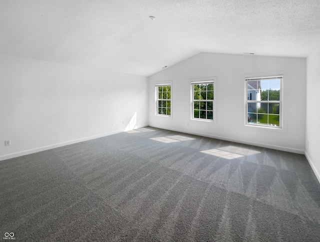 additional living space featuring a textured ceiling, carpet flooring, and lofted ceiling