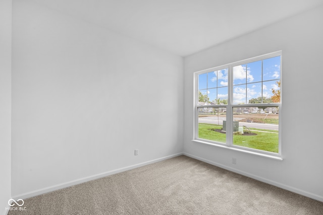 carpeted empty room featuring a wealth of natural light