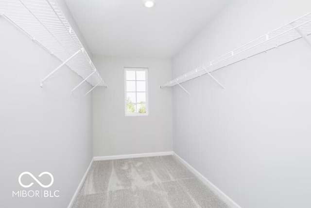 spacious closet with light colored carpet