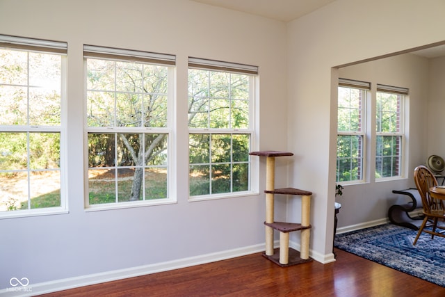 interior space featuring dark hardwood / wood-style floors