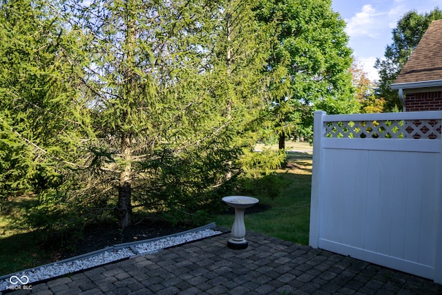 view of yard with a patio area